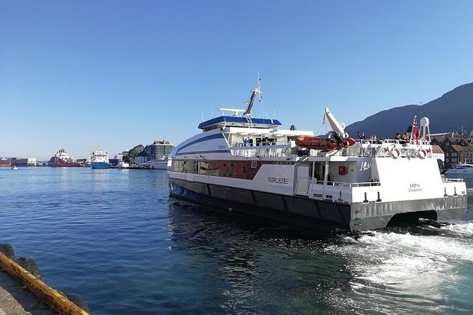 Private tour - Viking Village, Nærøyfjord Cruise & Flåm Railway - Myrdal and the rail connection toward Bergen