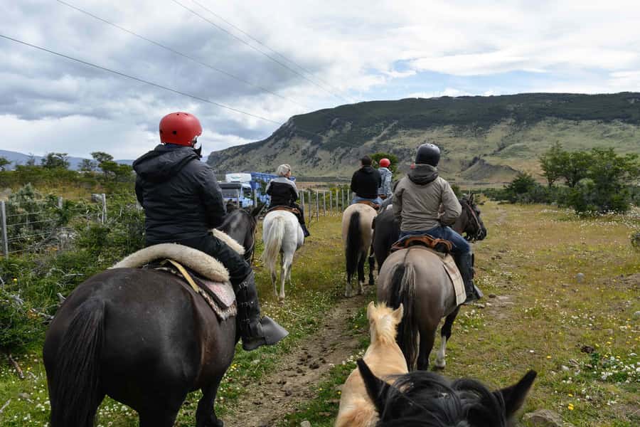Puerto Natales: Horseback Riding to Dorotea Fjord Lookout - Cerro Dorotea Horseback Ride: Key Points