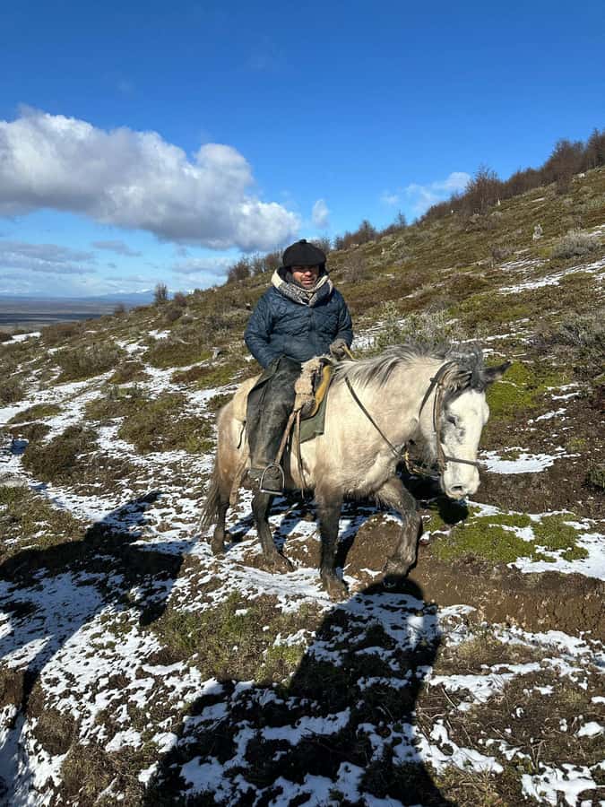Puerto Natales: Horseback Riding to Dorotea Fjord Lookout - Coffee and Donuts After the Saddle