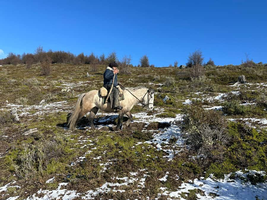 Puerto Natales: Horseback Riding to Dorotea Fjord Lookout - Pickup in Puerto Natales and the Ride to the Base