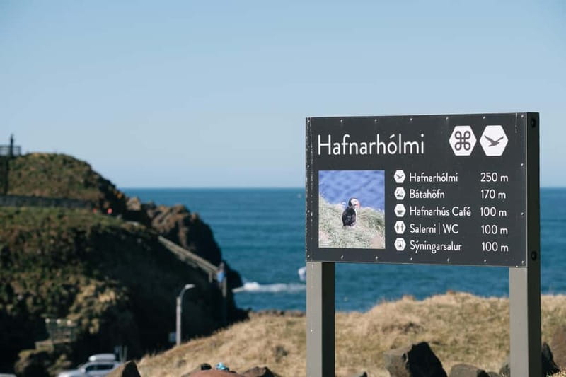 Puffin & Gufufoss Waterfall Tour from Seydisfjordur Port - What the five-hour schedule feels like