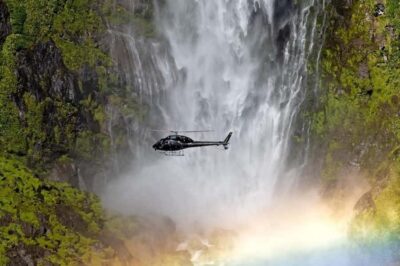 Queenstown: 2.5 Hour Flight to Fiordland’s Iconic Locations