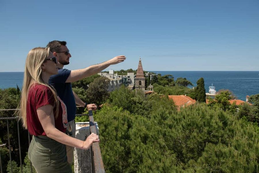 Rovinj or Vrsar: Rovinj Islands and Lim Fjord Speedboat Tour - Two Sisters and the Southern Coves