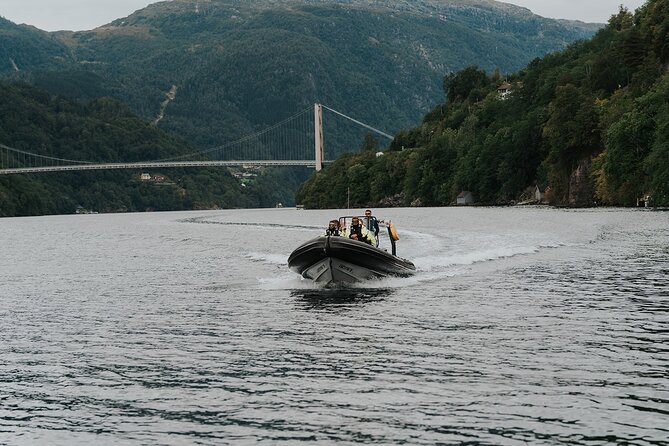 Scenic Hardangerfjord & Fyksesund RIB adventure from Norheimsund - Why this small RIB trip works so well