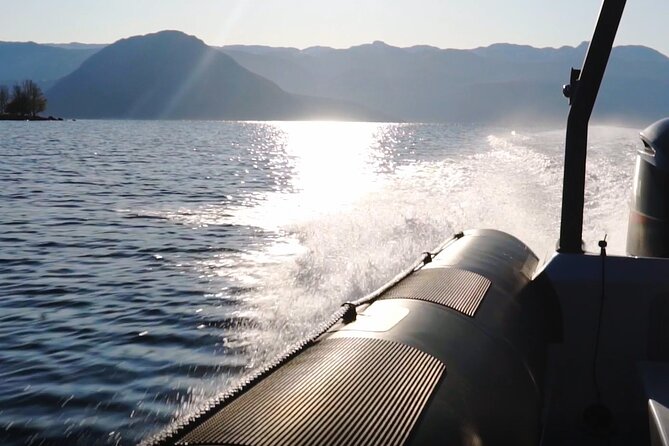 Scenic RIB adventure to Hardangerfjord & Fyksesund from Øystese - Speed, safety, and comfort on the water