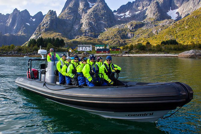Sea Eagle Safari from Svolvær to Trollfjorden - Key points at a glance