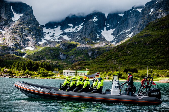 Sea Eagle Safari from Svolvær to Trollfjorden - Price and what you receive
