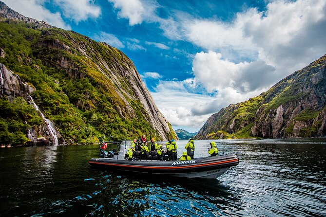 Sea Eagle Safari from Svolvær to Trollfjorden - The guides make the difference