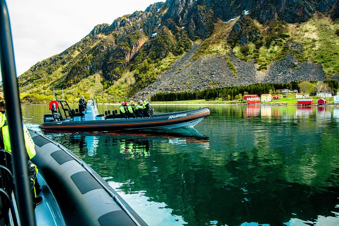 Sea Eagle Safari from Svolvær to Trollfjorden - Who should book this safari?