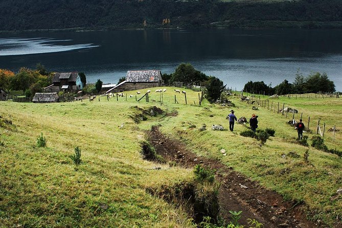Sea Kayaking the first fjord of Patagonia - Calm water, stable kayaks, and a proper briefing