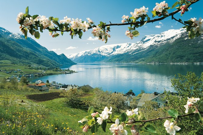 Self-Guided 22-Hour Round Trip From Oslo To Sognefjord With Flåm Railway - Gudvangen and the bus through Nærøydalen