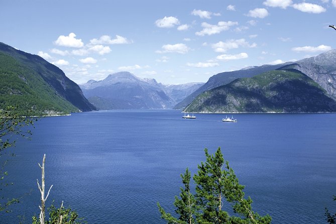 Self-Guided 22-Hour Round Trip From Oslo To Sognefjord With Flåm Railway - The night train back to Oslo