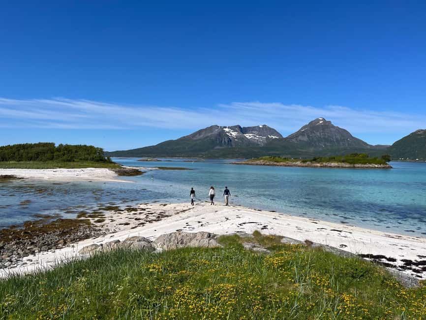Senja: Guidet Fjord Kayaking in Ånderdalen Nationalpark - Key points to know before paddling