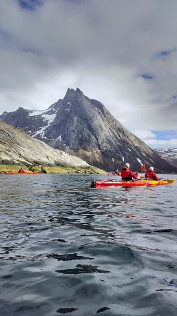 Senja: Guidet Fjord Kayaking in Ånderdalen Nationalpark - Why this Senja kayaking trip feels different