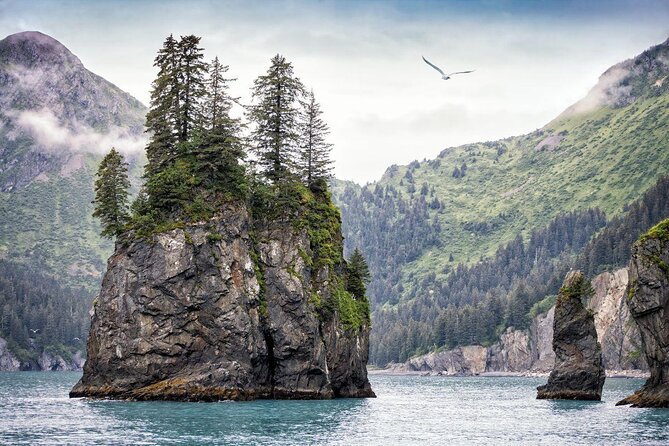 Seward and Kenai Fjords National Park Guided Tour with Lunch - Key points to know before booking