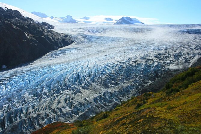 Seward and Kenai Fjords National Park Guided Tour with Lunch - Why this half-day Seward tour works so well