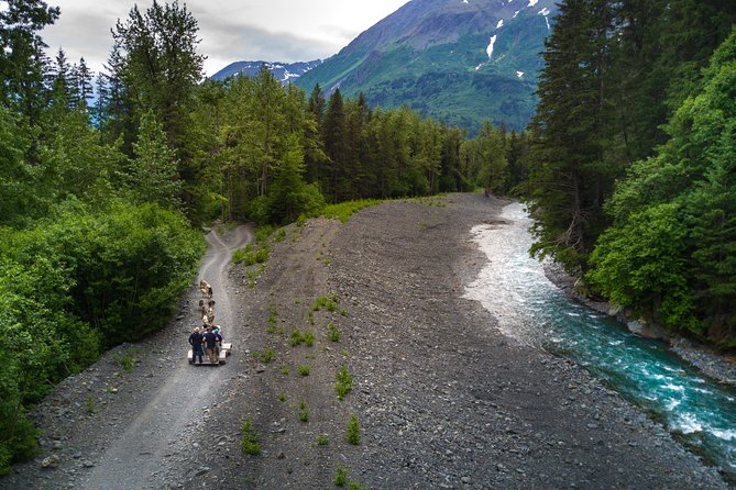 Seward and Kenai Fjords National Park Guided Tour with Lunch - Meeting Iditarod dogs at Seavey’s IdidaRide