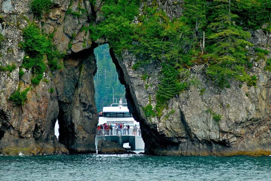 Seward: Captain's Choice Kenai Fjords National Park Tour - Why this seven-hour cruise earns a full day