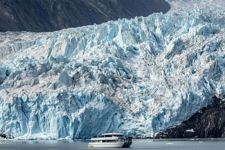 Seward: Captain's Choice Kenai Fjords National Park Tour - Searching for whales, otters, and sea lions