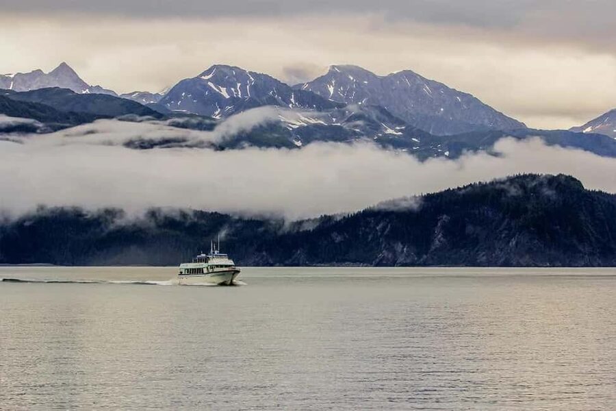 Seward: Captain's Choice Kenai Fjords National Park Tour - Aialik Glacier or Holgate Glacier up close