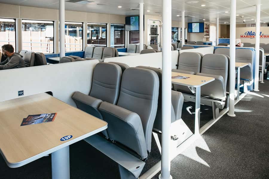 Seward: Kenai Fjords National Park Catamaran Cruise w/Lunch - How the $265 price holds up