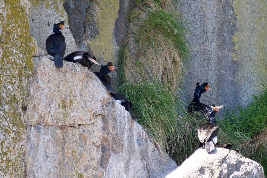 Seward: Kenai Fjords National Park Extended Cruise - Is $325 a fair price?