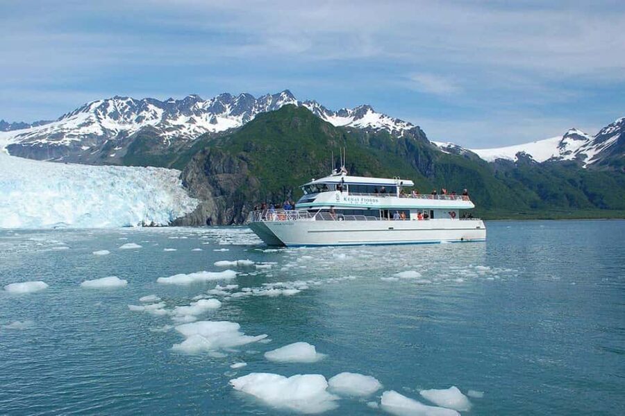 Seward: Kenai Fjords National Park Glacier & Wildlife Cruise - Alaska Maritime National Wildlife Refuge and its seabird cliffs