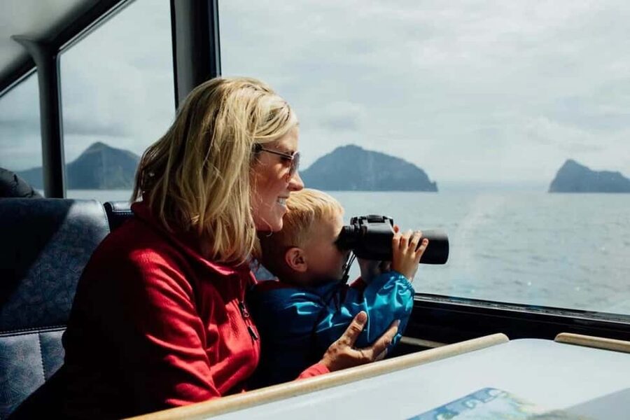Seward: Kenai Fjords National Park Glacier & Wildlife Cruise - Should you book the Kenai Fjords cruise?