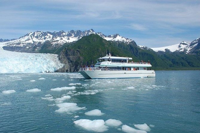 Seward Shore Excursion: Pre- or Post-Cruise Kenai Fjords National Park Tour - Why this Seward cruise is worth your time