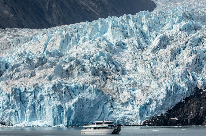 Seward Shore Excursion: Pre- or Post-Cruise Kenai Fjords National Park Tour - Cruise connection timing and pickup details