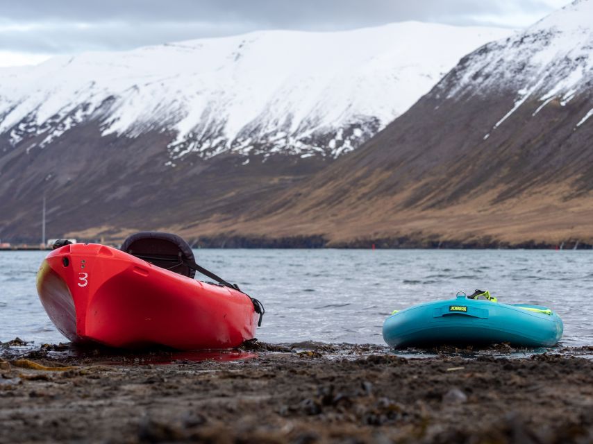Siglufjörður / Siglufjordur: Guided kayak tour. - Meeting Sigló Sea beside the Herring Era Museum