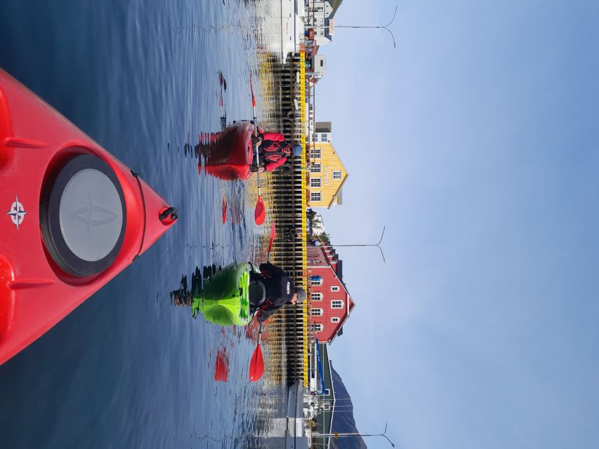 Siglufjörður / Siglufjordur: Guided kayak tour. - Herring, avalanches, and the story of a northern town