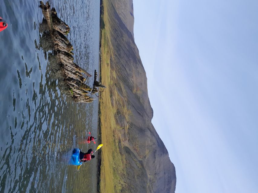 Siglufjörður / Siglufjordur: Guided kayak tour. - Watching for birds, seals, and quiet water