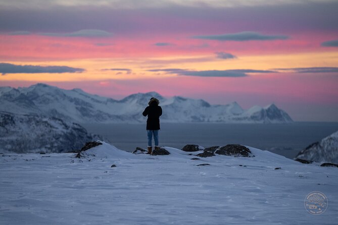 Small Group Arctic Fjords Road trip with Scenic Picnic - Key points at a glance