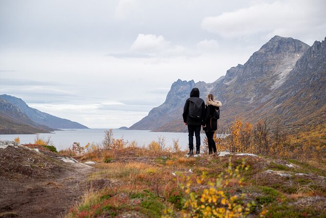 Small Group Arctic Fjords Road trip with Scenic Picnic - Why Kvaløya makes a good half-day outing