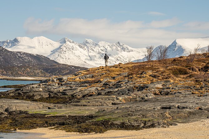 Small Group Arctic Fjords Road trip with Scenic Picnic - Photos without the usual camera pressure