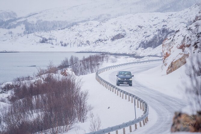 Small Group Arctic Fjords Road trip with Scenic Picnic - The price: good value for the right kind of day