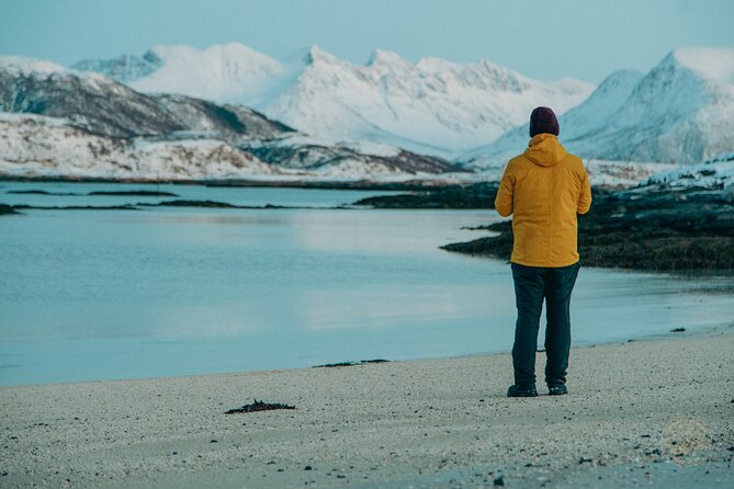 Small Group Arctic Fjords Road trip with Scenic Picnic - From Tromsø’s historic centre to open fjords