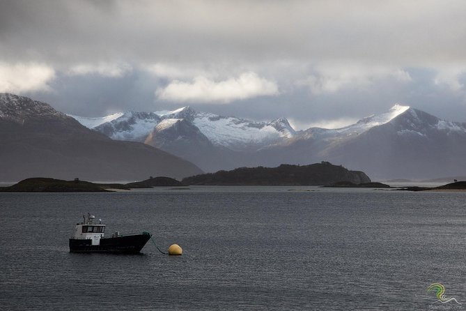 Small-Group Norwegian Fjords Tour from Tromso with Photos - Fjord roads, beaches, and troll-shaped mountains