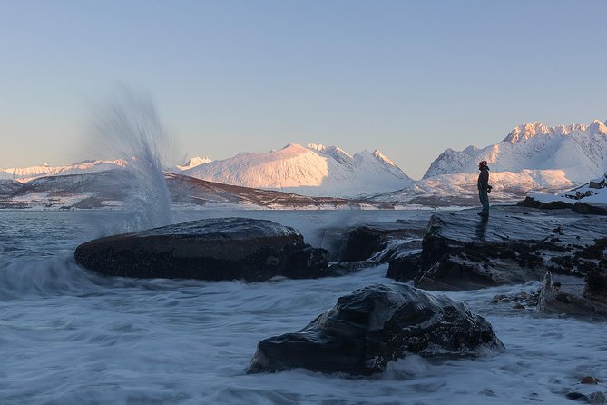 Small-Group Norwegian Fjords Tour from Tromso with Photos - Who should book this Tromsø fjord tour?