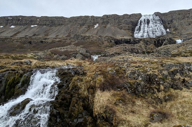 Small Group Tour Ísafjordur Dynjandi Waterfall & Secret Stop - Is $215 a fair price for four hours?