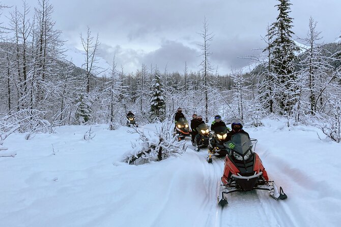 Snowmobile and Snowshoe Dual Adventure in Kenai Fjords NP - Is $398.56 a fair price?