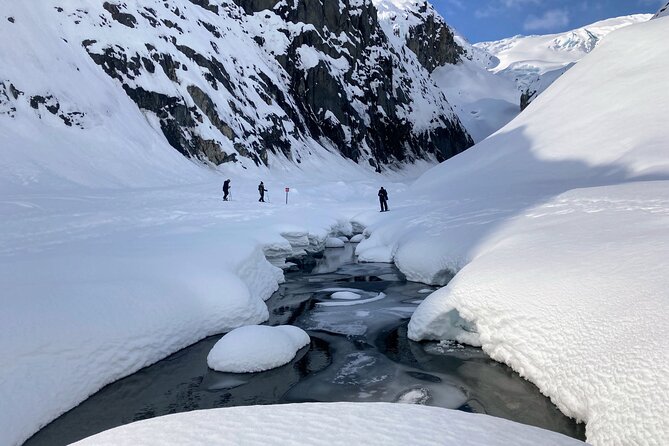 Snowmobile and Snowshoe Dual Adventure in Kenai Fjords NP - Who will enjoy this Seward winter outing?