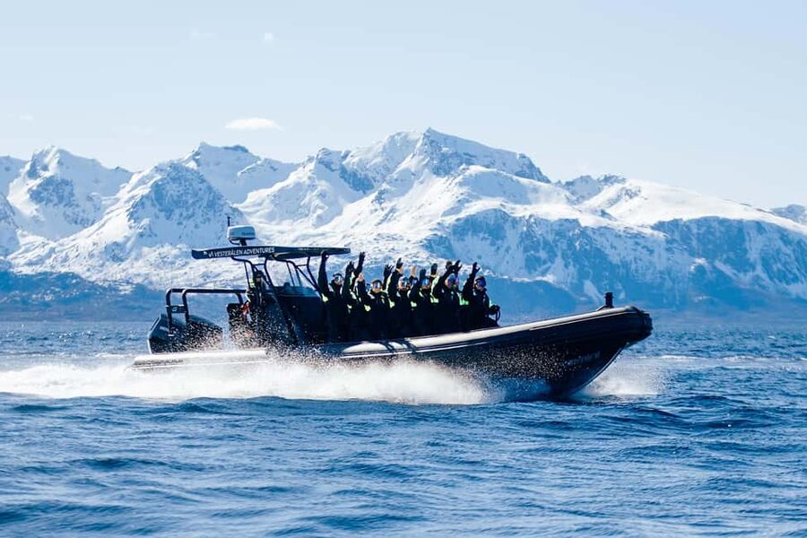 Sortland: Trollfjord RIB Boat Tour - Why Trollfjord Is Worth the Boat Ride