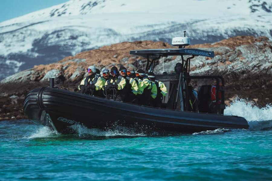 Sortland: Trollfjord RIB Boat Tour - What the RIB Ride Feels Like