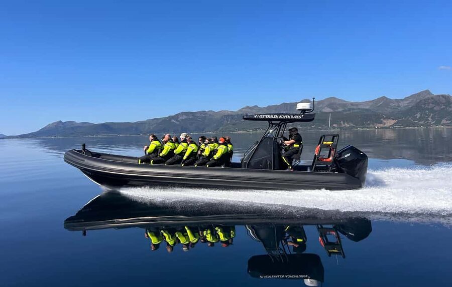 Sortland: Trollfjord RIB Boat Tour - Raftsundet and Hinnøya: The Scenic Run to the Fjord