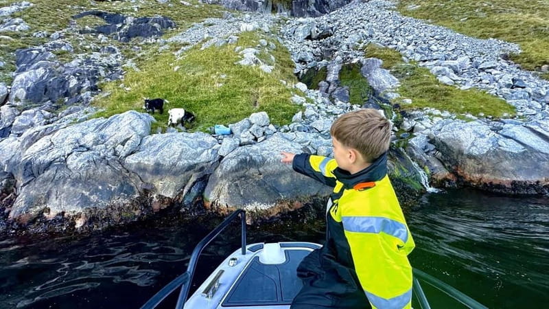 Stavanger: Guided Lysefjord Cruise to Pulpit Rock - Key points at a glance