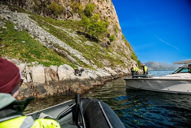 Stavanger: Guided Lysefjord Safari on Speedboat - Whiskey Falls and a refreshing spray