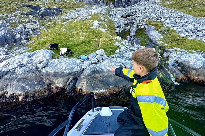 Stavanger: Guided Lysefjord Safari on Speedboat - What the speedboat does better than a RIB