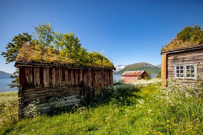 Summer Fjord Road Trip with Citizen Science with Wandering Owl - Beaches, photo stops, and possible wildlife